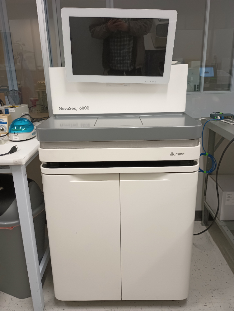 Image of NovaSeq 6000 Sequencing System